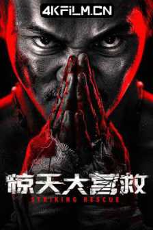 惊天大营救 (2024)/中国大陆/动作/犯罪/4K SDR 60帧/高码率电影下载