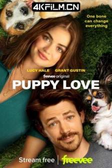 小狗之爱 Puppy Love (2023)初恋 / 爱情两狗牵 / 美国 / 喜剧 / 爱情 / 4K电影下载
