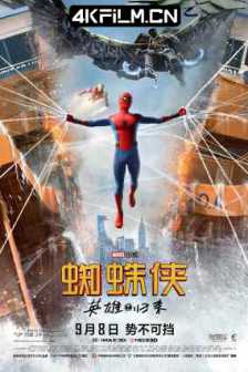 蜘蛛侠：英雄归来 2017.2160p.BluRay.REMUX.HEVC.DTS-HD.MA.TrueHD.7.1
