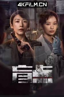盲点 (2025)中国大陆 / 剧情 / 犯罪 / 4K影视剧资源
