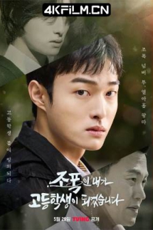 黑社会的我成为了高中生 조폭인 내가 고등학생이 되었습니다 (2024)1080p 内封简中