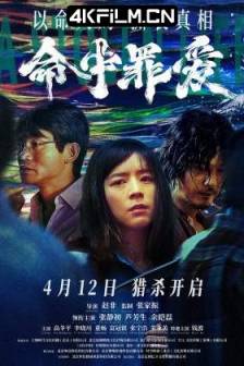 命中罪爱(2025)六个凶手 / A Stolen Life / Town Without Pity / 中国大陆 / 剧情 / 悬疑 / 犯罪 / 4K大陆电影