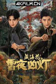 藏海花之雪夜凶灯（2024）4K臻彩/动作 / 悬疑 / 冒险/4k超清电影下载