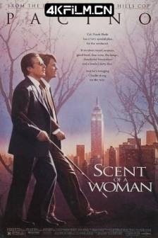 闻香识女人 Scent of a Woman (1992)女人香 / 女人的芳香 / 美国 / 剧情 / 4K高清电影网