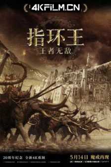 指环王3：王者无敌/魔戒三部曲：王者再临/指环王III：王者无敌/魔戒3：王者归来/指环王3：国王归来/指环王3：皇上回宫(豆友译名)/4K电影下载