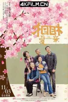 相爱相亲 (2017) / Love Education / 4K高清电影下载 / Love.Education.2017.2160p.WEB-DL.H265.AAC