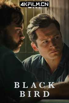 黑鸟 Black.Bird.S01.2160p.ATVP.WEB-DL.x265.10bit.HDR.DDP5.1.Atmos-NTb/高清4K电影网站/