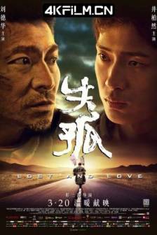 失孤 (2015) Lost and Love/中国大陆/中国香港/4K高清电影下载