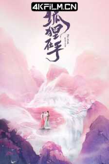 狐狸在手（2024）4K喜剧 / 古装/中国大陆/大陆电视剧下载