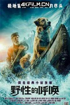 野性的呼唤 The Call of the Wild (2020)/极地守护犬(港/台)/绝境长征(港)/荒野的呼唤加拿大/美国/葡萄牙/剧情/冒险/4K电影下载