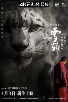 雪豹 (2023) Snow Leopard/高清4K电影网站/蓝光下载/