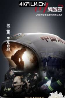 119请回答 (2021)中国大陆 / 纪录片