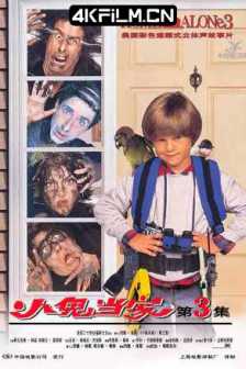 小鬼当家3Home.Alone.3.1997.1080p.WEBRip.DDP5.1.x264-monkee