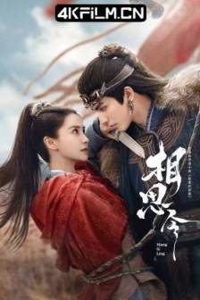 相思令 (2025) 抢来的新娘 / 男妆新娘 / 中国大陆 / 剧情 / 古装 / 4K电视剧下载