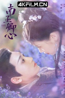 南玉卿心 (2024) / 见习千金 / 神偷俏王妃/华语电视剧下载