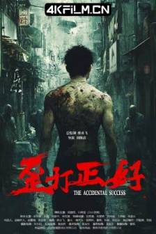 歪打正好(2025)云开日出 / 浪琴之约 / The Accidental Success / 中国大陆 / 爱情 / 犯罪 / 4K电影