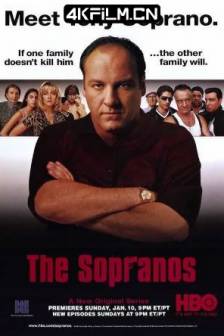 黑道家族 第1-6季 The Sopranos Season 1 (1999)人在江湖(港)美国 / 剧情 / 惊悚 / 犯罪 / 4K电视剧下载