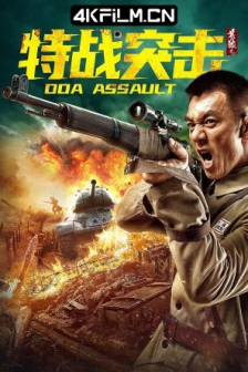 苍狼之特战突击 (2021) / 4K电影下载 /高清4K电影网站/ DOA.Assault.2021.2160p.HQ.WEB-DL.H265.60fps.AAC