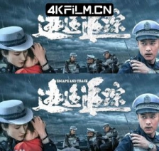 逃逸追踪Escape.and.Track.2024.2160p.WEB-DL.H265.AAC