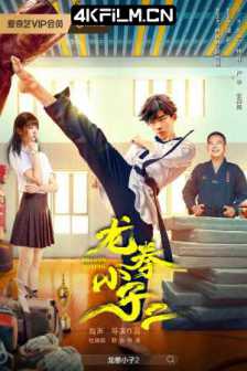 龙拳小子2（2024）4K EDR 高码率/4K电影网