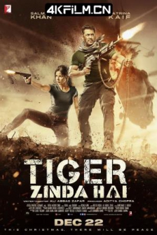 猛虎还活着 Tiger Zinda Hai (2017) / 老虎是活的 / Tiger Zinda Hai (2017) 2160p AMZN WEB-DL DDP5.1 H.265