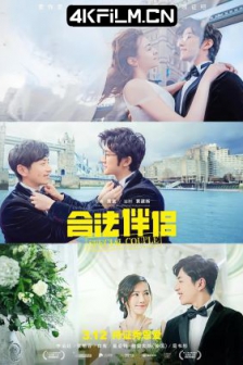 合法伴侣 (2019) / Special Couple /高清4K电影网站/ 4K电影下载 / Special.Couple.2019.2160p.WEB-DL.H265.DDP2.0