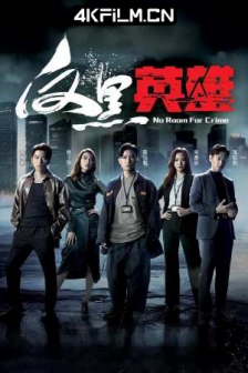 反黑英雄No Room For Crime (2024)TVB港风警匪剧/完结