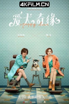 爱犬奇缘 (2023) / Puppy Love / 4K电影下载 / Puppy.Love.2023.2160p.WEB-DL.HEVC.DDP.2Audios