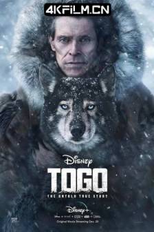 多哥 Togo (2019)Togo: The Untold True Story / 美国 / 剧情 / 冒险 / 4K电影
