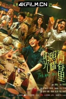 阳光照耀青春里 (2025)逃出青春里 / 以梦为马 / The Way Out / 中国大陆 / 中国香港 / 剧情 / 4K电影