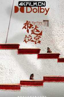 布达拉宫（2024）4KSDR 4K杜比视界