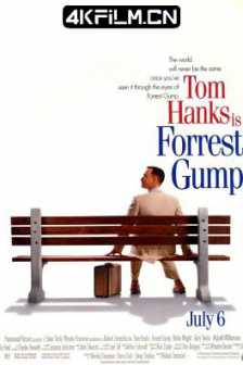 阿甘正传 Forrest Gump 1994 福雷斯特·冈普/电影4k下载