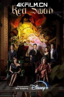 红天鹅 화인가 스캔들 (2024) 华仁绯闻/She/Red Swan 4K SDR 高码率 内封简中 持续更新中...